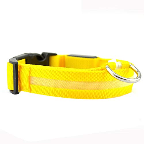xiangquan001 LED Collar de Perro de Mascota, llevó USB Recargable Collar de Seguridad para Mascotas Impermeable Collar de Destello Ajustable Alimentado por Batería