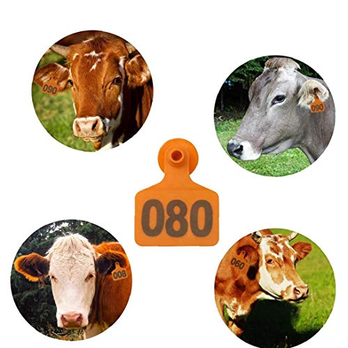 xiaocheng Oído Etiquetas Vaca Oreja Verdes de la Etiqueta de plástico Número Medio Ganadería 001-100 oído Etiquetas para el Cerdo Ganado Vaca Cabra Animal Naranja 100PCS Necesidades Diarias duraderos