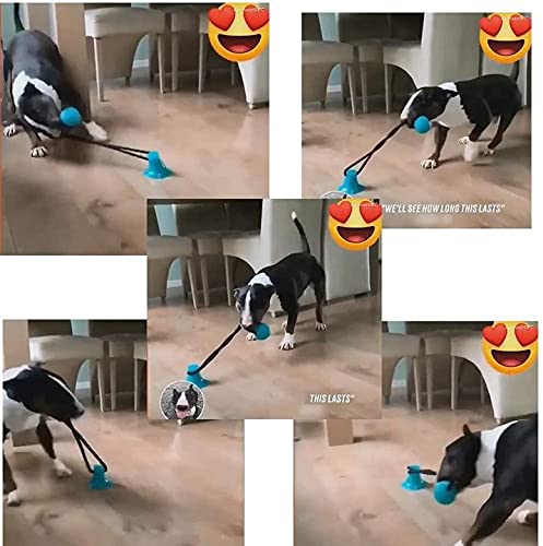 XinYiC Juguete para perro con ventosa y bola, juguete de pelota de goma para limpieza de dientes, 40,6 cm de largo, 40,16 cm de alto, color negro