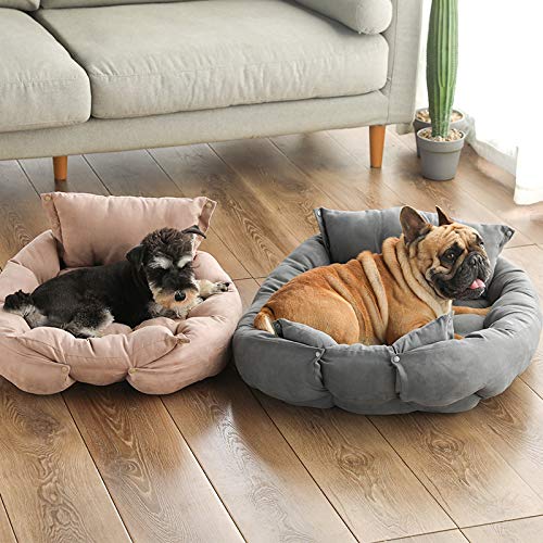 Xpnit Cama ortopédica para perro, sofá y cojín 3 en 1, cama plegable de lujo, lavable para perros, cama para perros pequeños y medianos (M,Verde)
