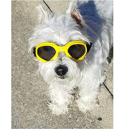 XUNKE Gafas de Sol para Perros, Perro Gafas para Perros pequeños y medianos Impermeable Plegable Protector Ocular Protección UV Antivaho (Amarillo)