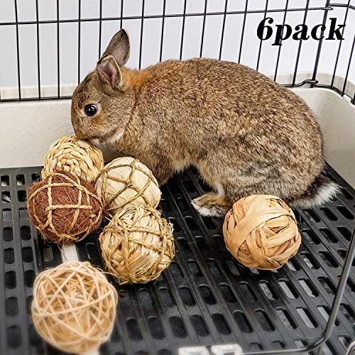 YANGWX Conejo de conejillo de indias hámster conejito masticar, juguetes de chinchillas de madera natural, juguete molar para hámster, conejos jerbos loros de aves (7 cm y 10 cm)