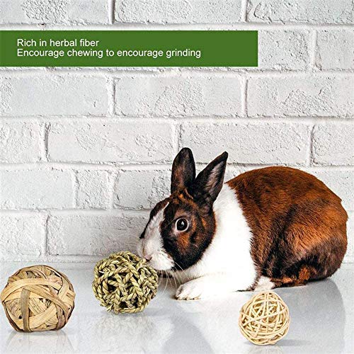 YANGWX Conejo de conejillo de indias hámster conejito masticar, juguetes de chinchillas de madera natural, juguete molar para hámster, conejos jerbos loros de aves (7 cm y 10 cm)