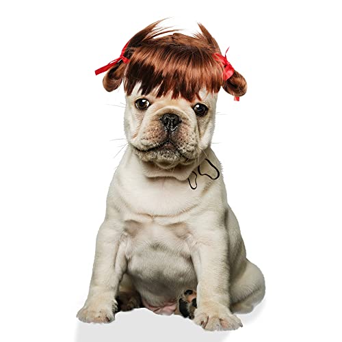YAODHAOD Peluca de perro, peluca sintética divertida, disfraz de cachorro y gatito, adecuado para gatos pequeños y perros (trenzas marrones)