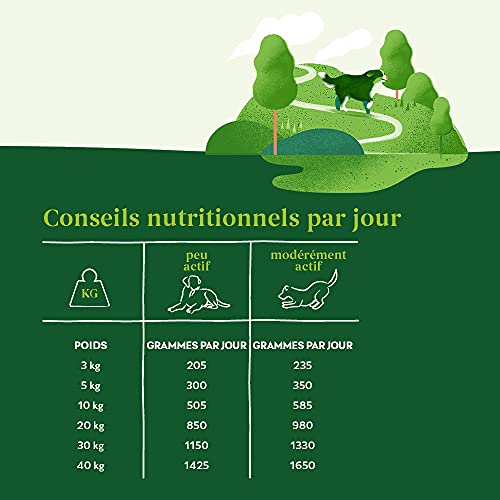 YARRAH Alimento orgánico para Perros Vega, sin Cereales con arándanos 380 g, 12 Unidades (12 x 380 g)