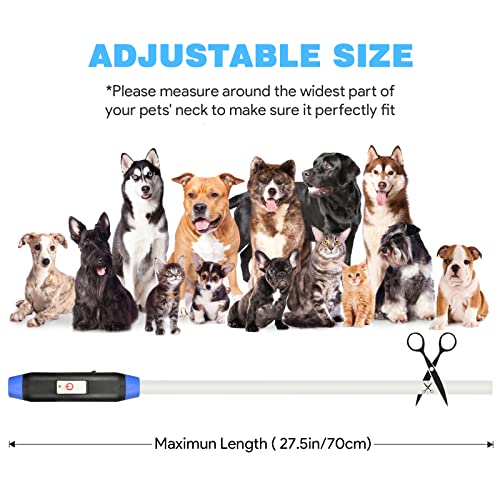 Yepnfro Collares Luminosos para Perros, Collar Led Perros con USB Recargable Super Brillante Collar luz Perro Intermitente 3 Modos para pequeños, medianos Grandes y Gatos