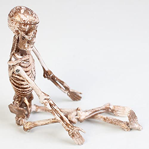 YGAKX Decoración hogar para Estatua Regalo pecera paisajismo simulación cráneo Huesos arrastrándose Mascota Tanque de píldora piraña Escenario de Terror Realista y Pesado