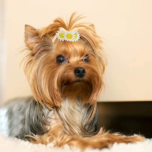 Yirepny Pinzas para el pelo para mascotas – Lindas horquillas en forma de girasol, accesorios para el pelo para perros y gatos, productos de aseo para mascotas con pinzas de cocodrilo, A