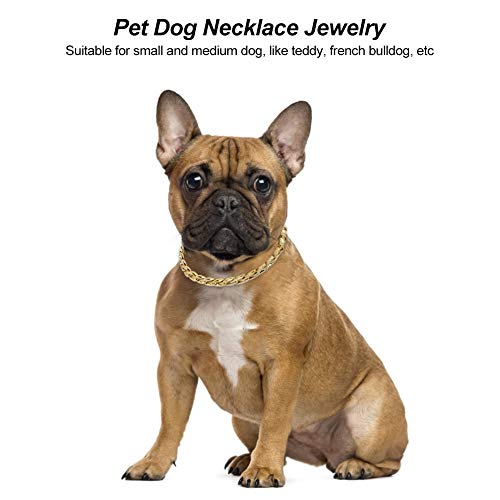 Yissone Collar de Collar para Mascotas Accesorios de Cadena de Metal para Perros Estilo Hip-Hop Personalizado Estilo Pequeño para Cachorro Mediano Pequeño Peluche Bulldog Francés Oro 15