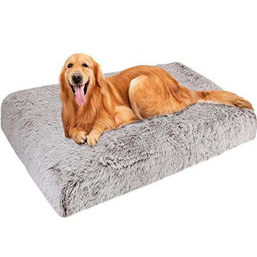 Yoole EU Cama de perro mullido colchón para perro, cama grande antiansiedad calmante para mascotas, antideslizante desmontable para perros pequeños, medianos y grandes, gatos (75 x 50 x 6 cm, café)
