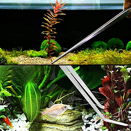 Yuemuop 4 Piezas Aquarium Aquascaping, Acero Inoxidable Acuario Tanque Planta Acuática Herramientas Conjuntos Adecuado para Principiantes en el Cuidado de Acuarios y Plantas