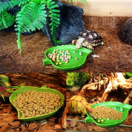YUENX 2 Piezas Platos Tazones de Agua de Alimentos de Reptil, Mascota Beber y Comer Cuenco de Agua de Comida para Reptiles, Plato de Agua para Tortuga, Geco, Serpiente, Mascotas (Verde)