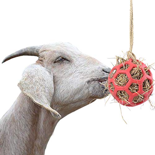 YUYUSO Alimentador de cabra bola de juguete de heno alimentador de bola colgante juguete de alimentación para cabras ovejas headbutting pluma resto