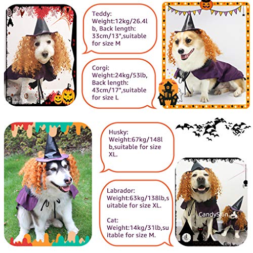 Zeraty Disfraz de Halloween para Mascotas Traje de Bruja Ropa de Fiesta para Perros Cosplay navideño para Perros y Gatos pequeños a Grandes
