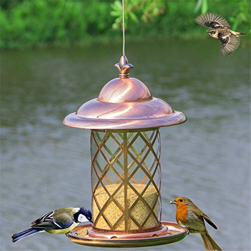 ZoSiP Bird Bird Feeder Vajilla Alimentadores automáticos de Metal alimentación de Aves Las Aves Loro Carrier Palomas Alimentos Trough Guía de Suministros al Aire Libre Aves