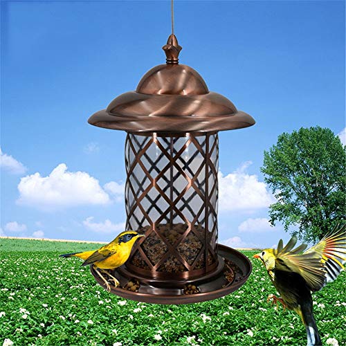 ZoSiP Bird Bird Feeder Vajilla Alimentadores automáticos de Metal alimentación de Aves Las Aves Loro Carrier Palomas Alimentos Trough Guía de Suministros al Aire Libre Aves