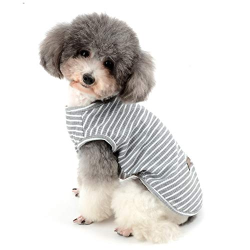 Zunea Camisa para Perros Pequeños Gatos Camisas de Rayas para Mascotas Chaleco Fresco de Verano Cachorros Ropa Camiseta Básica de Algodón Suave Chihuahua Ropa Gris L