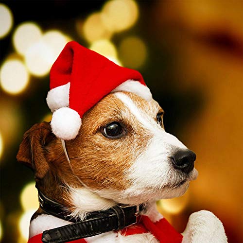 1pc Perro Traje Navidad Sombrero Navidad Perro Perrito Santa Sombrero Disfraces Accesorio Mascota