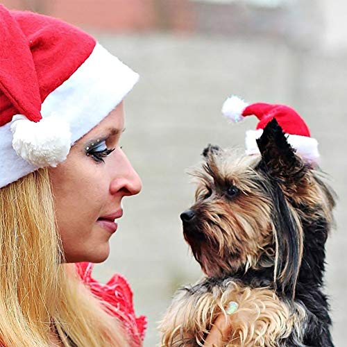 1pc Perro Traje Navidad Sombrero Navidad Perro Perrito Santa Sombrero Disfraces Accesorio Mascota