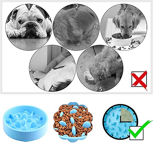 2 Piezas Recipiente de Alimentación Lenta para Perros, Tazón para Perros Antideslizante Alimentador Lento, para Perros y Gatos para Reducir la Ingestión y la Comida en Exceso