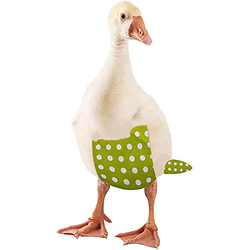 3 pañales de pollo para mascotas, pañales reutilizables para patitos, lavables y reutilizables para aves de corral, pañal de moda para mascotas gallina de ganso pato paloma de pollo (S)