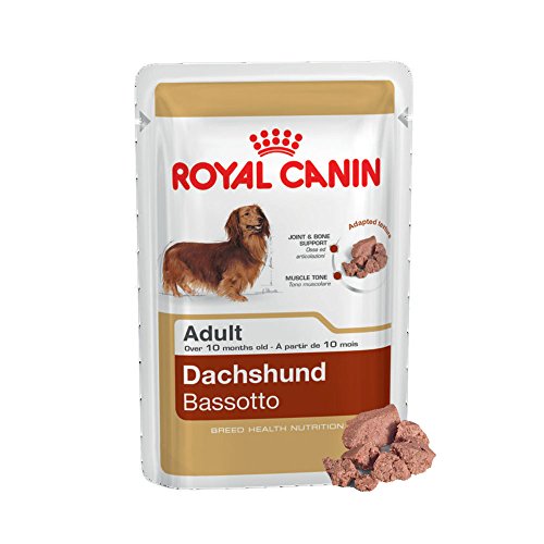 48 bolsas de comida para perros Royal Canin