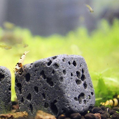 6 Eco Bricks – Decoración purificador de roca volcánica para Acuario | rocas de decoración acuario