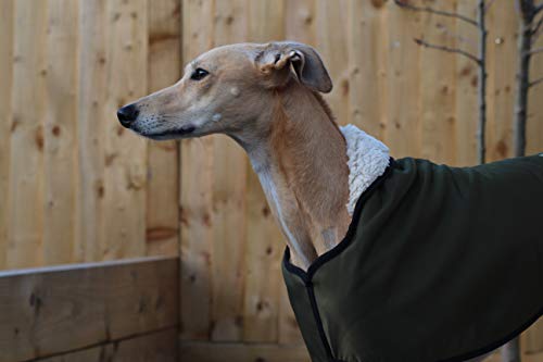 Abrigo impermeable con forro polar verde oliva, con correa de clip ajustable a juego, galgo italiano/sighthound (LARGE 61 cm)