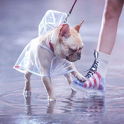 Abrigo reflectante para perros y gatos con capucha ajustable PVC transparente poncho impermeable ultraligero para perros pequeños (blanco, M)