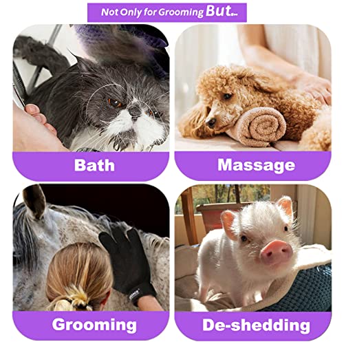 ACE2ACE Guante de cepillado para mascotas, cepillo de masaje para mascotas, eficaz para perros y gatos, perfecto para pelo largo y corto, 1 par (morado)