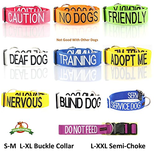 Adopt ME (I Need A New Home) Collar de Perro Semi-estrangulador Ancho L-XXL con código de Color Amarillo Evita Accidentes al Advertir a Otros de tu Perro de antemano