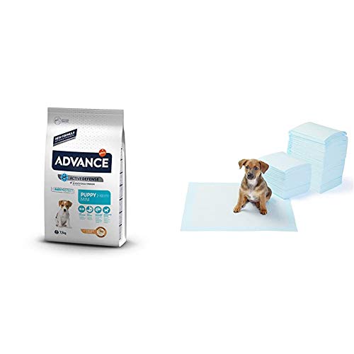 Advance Pienso para Perro Mini Puppy con Pollo - 7500 gr + Amazon Basics - Toallitas de Entrenamiento para Mascotas (tamaño Regular, 150 Unidades)