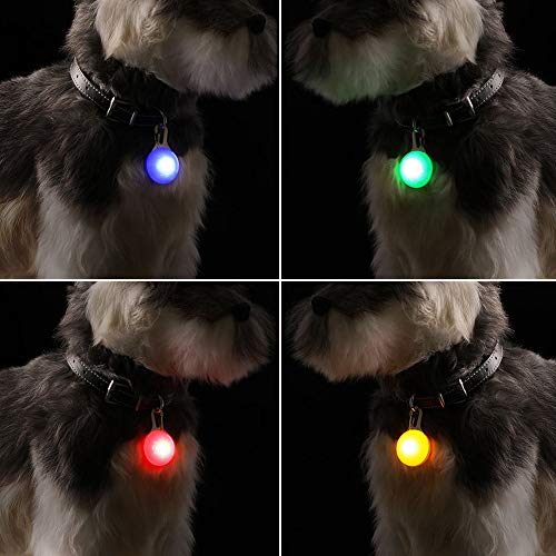 AFUNTA Collar de luces LED para perro, gato, 9 piezas de luces LED de seguridad para mascotas, 9 colores, incluye 9 pilas