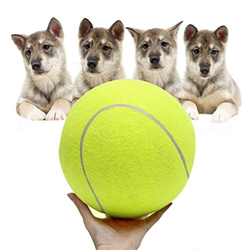 AILOVA Juguete para Perros, 24cm Juguete Interactivo de Tenis Inflable , Tamaño Pelotas de Tenis Robustas para Perros, Deportes Al Aire Libre