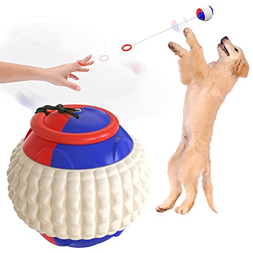 Aipwerer Juguete para masticar de caucho natural, con limpieza dental, bolas de juguete para lanzar a mano, pelota emocional adecuada para perros pequeños, medianos y grandes (morado)