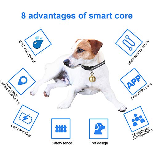 Akin Rastreador GPS mascotas para gatos y perros Smart Pet Bell Localizador Collar IP67 Impermeable Anti-perdida Dispositivo Electrónico Cerca Posición Collar Soporte 2G 3G Banda Color Aleatorio