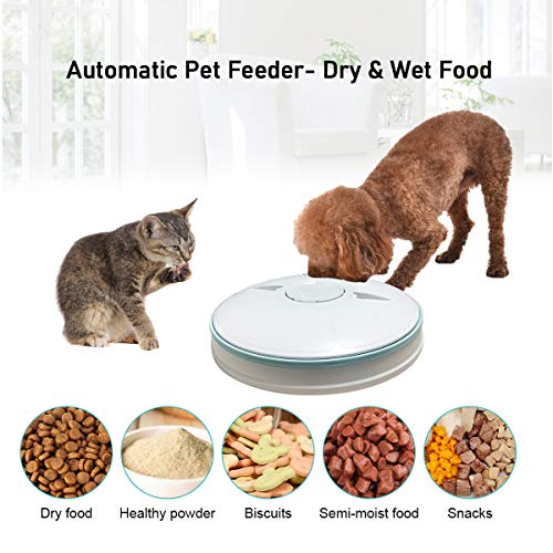 Alimentador automático de mascotas para gatos, perros, conejos, animales pequeños, 6 bandejas de comida de agua para alimentos secos y húmedos, con pantalla LCD, temporizador digital programable
