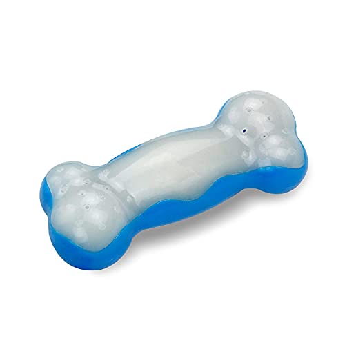 ALL FOR PAWS Juguete Congelable En Forma de Hueso Chill out, M, 16 cm