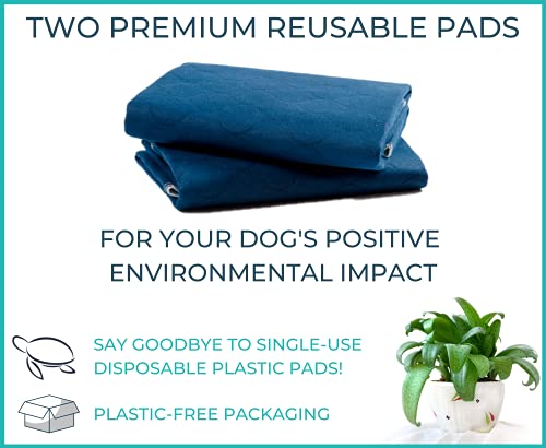 Almohadillas reutilizables perros PET IMPACT | Alfombras de entrenamiento para cachorros lavable Premium | Empapadores para incontinencia para perros, caja de 2 almohadillas GRANDES