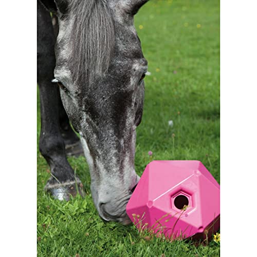 Amagogo Divertido 9"Horse Treat Ball Pony Juguete de alimentación Descanso Jugar Entrenamiento Patio Juguete Caballo Pelotas de Juguete - púrpura