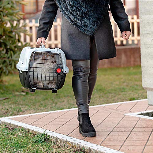 Amazon Basics - Transportín de mascotas prémium con 2 puertas para gatos y perros, 58 cm