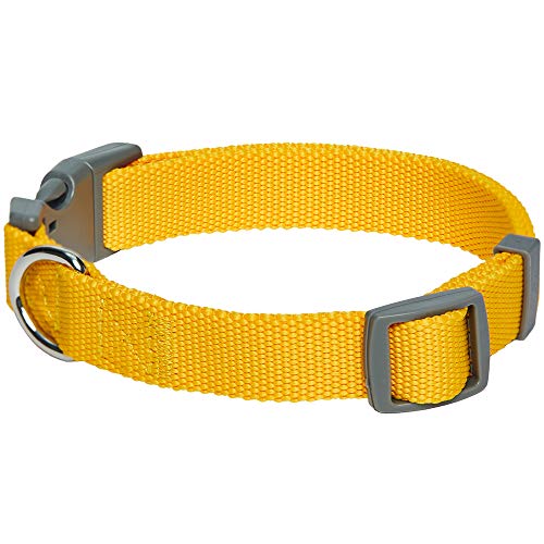 Amazon Brand - Umi Classic - Collar para Perros L, Cuello 45-66 cm, Collares Ajustables para Perros (Amarillo)