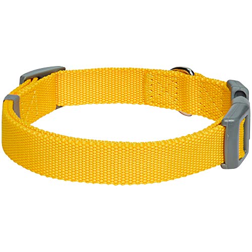Amazon Brand - Umi Classic - Collar para Perros L, Cuello 45-66 cm, Collares Ajustables para Perros (Amarillo)
