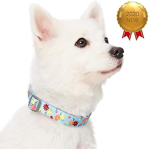 Amazon Brand - Umi Made Well - Collar para Perros con Estampado de Flores S, Cuello 30-40 cm, Collares Ajustables para Perros (Azul bebé)