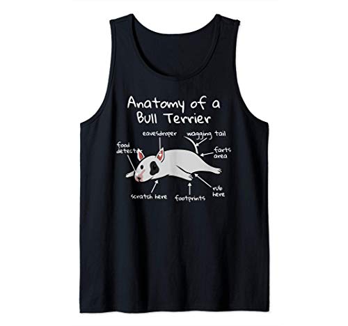 Anatomy Of A Bull Terrier Inglés Perro Camiseta sin Mangas