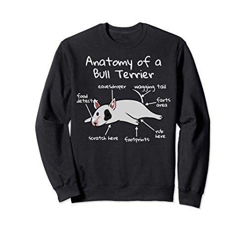 Anatomy Of A Bull Terrier Inglés Perro Sudadera