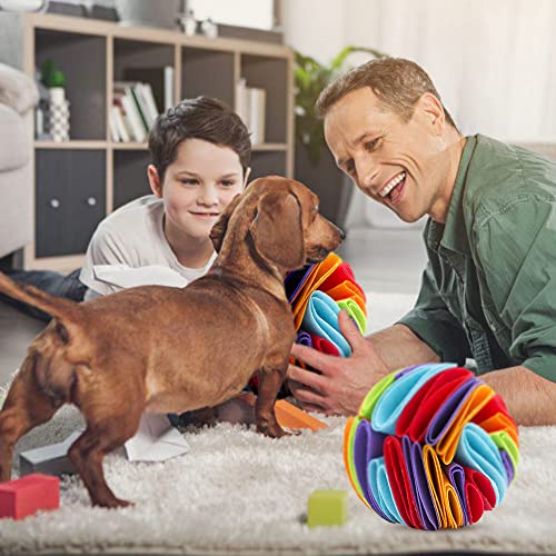 Anezka Pelota de voluta de alta calidad, juguete interactivo para perros, alimentación lenta de aprox. 15 cm de diámetro, lavable