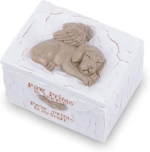 Angel Pet Dog Memorial Caja de joyería de resina caja cosmética, marcadores de tumba, estatua de mascotas urna conmemorativa urna de jardín decoración al aire libre caja conmemorativa - perro