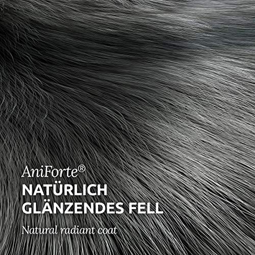 AniForte - Aceite Feed Oil para perros y gatos 500 ml - cuidado natural del pelaje para un pelo brillante y sedoso, rico en Omega 3 y Omega 6 ácidos grasos