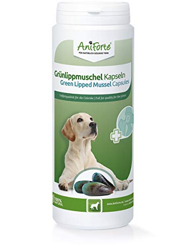 AniForte Cápsula de mejillón de Labios Verdes para Perros (300 cápsulas) – Ayuda a Las articulaciones, Calidad de Grasa Completa 10.2%, glicosaminoglicanos 3.3%, Polvo de mejillón de Labios Verdes